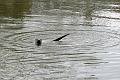 04 01 17_5589_edited-1